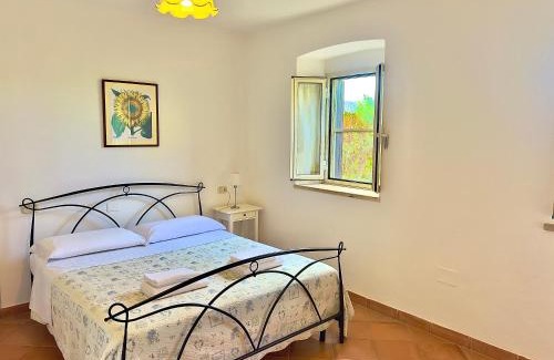 Grosseto Apartamento | Carpine Agriturismo Bio in Maremma