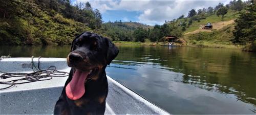 Gomez Plata Otro | Carriquí Glamping