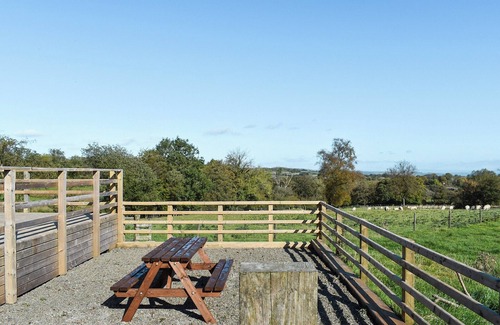 Felinfach Cabaña | Cartws Blaenparc Coach House - UK41031