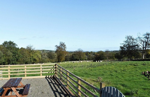 Felinfach Cabaña | Cartws Blaenparc Coach House - UK41031