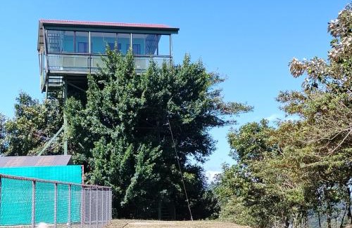 Aguas Zarcas Apartamento | Casa árbol