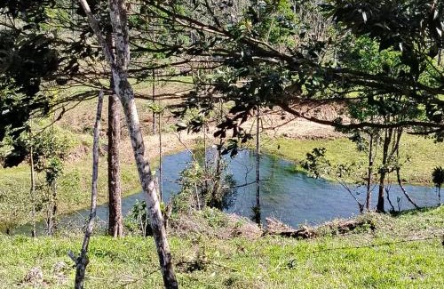 Aguas Zarcas Apartamento | Casa árbol