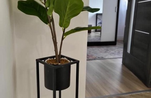 Toplita Casa | Casa 115 Toplița