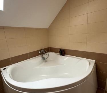 Bistrita Villa | Casa 42