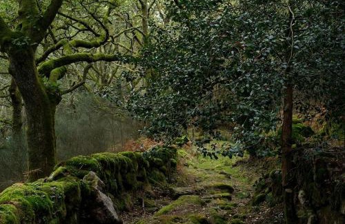 Fornelos de Montes Casa | Casa A Criscada