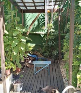 Boa Vista Casa | Casa aconchegante em Curitiba