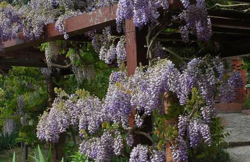 Panzano in Chianti Apartamento | Casa ai Pini