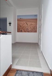 Ferreira do Alentejo Cama Y Desayuno | Casa Al'entejo