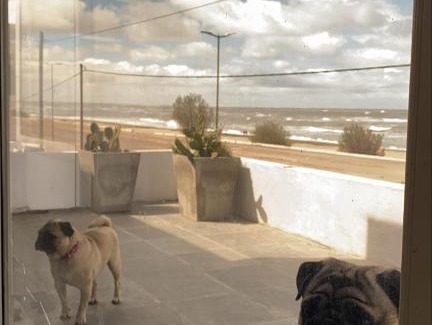 Balneario El Cóndor Casa | CASA AL LADO DEL MAR