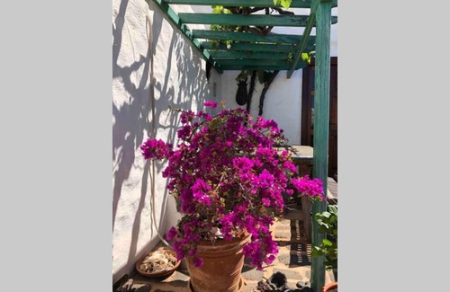 Los Valles Apartamento | Casa Alegria II