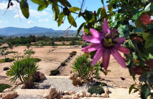 Hondón de las Nieves Villa | Casa Algezar