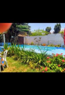 Marica Casa | Casa Aloha