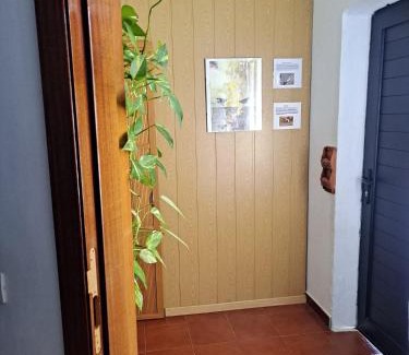 Arrecife Casa | Casa Amaia