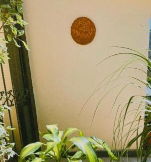 Oaxaca Casa | Casa Amapolas Oaxaca