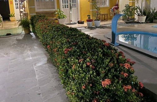 Arembepe Casa | Casa Amarela seu Refúgio