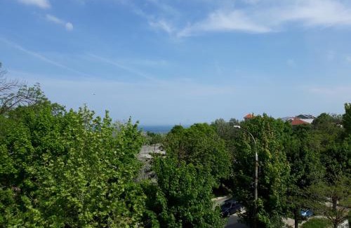 Eforie Sud Casa | Casa Andreea
