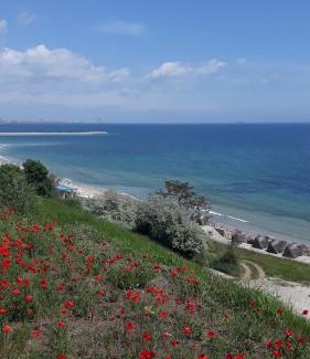 Eforie Sud Casa | Casa Andreea