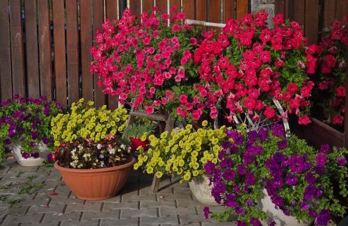 Sovata Apartamento | Casa Anette