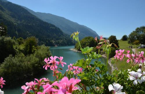 Molveno Apartamento | Casa Angelo