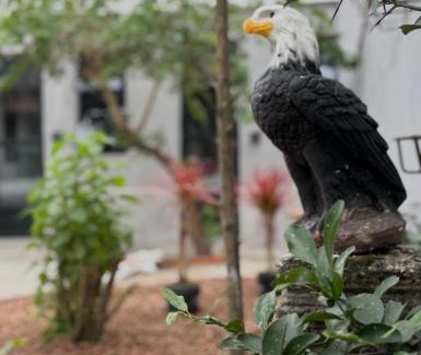 Jardim Rio da Praia Casa | Casa Apartamento Privativo - Sesc Bertioga Centro dentro de Pousada