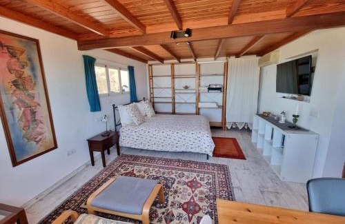 Arecida Casa | Casa Aram lapalmahouse