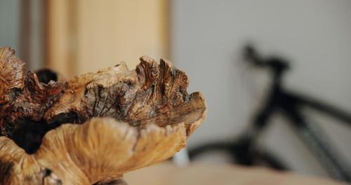 Sarzedas Casa | Casa Augusta - The Natural Lodgings And Retreats