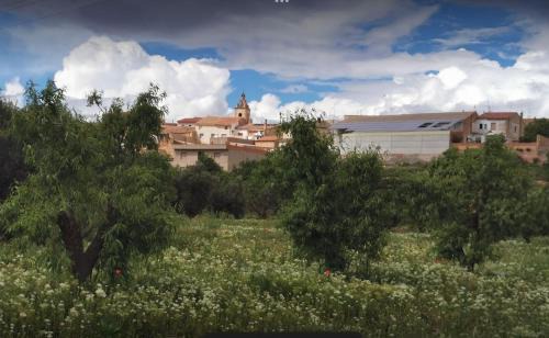 Utiel Casa | Casa Aurora, mi aldea ,entre viñas y almendros