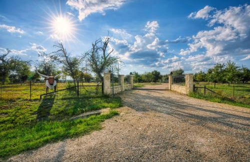 Fredericksburg Casa | Casa Austin