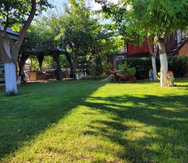Murighiol Casa | Casa Badea