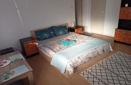 Ocna Mures Apartamento | Casa Bea