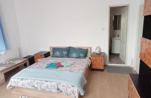Ocna Mures Apartamento | Casa Bea