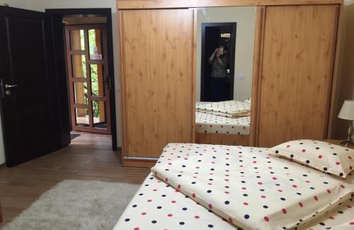 Emanoil Gojdu Casa | Casa Belazur