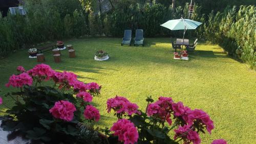 Vadu Motilor Cabina | Casa Bella