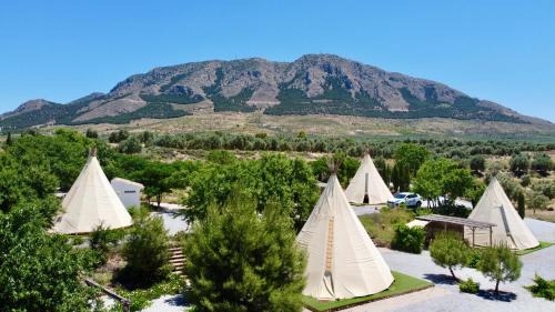 Zujar Otro | Casa Bella Teepees
