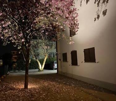 Novi di Modena Casa | Casa Bellodi