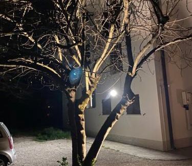 Novi di Modena Casa | Casa Bellodi