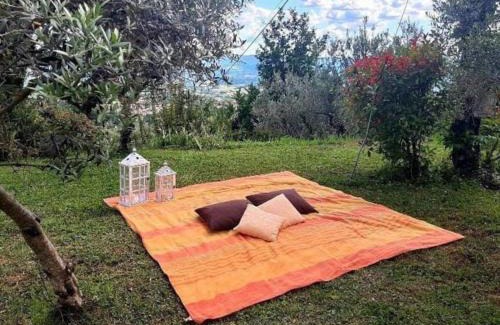 Castelfranco di Sopra Casa | Casa Benucci Oliveta Tuscany