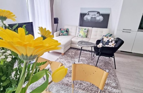 Roiano-Gretta-Barcola-Cologna-Scorcola Apartamento | Casa Bianca - 2 Bedroom Design Apartment