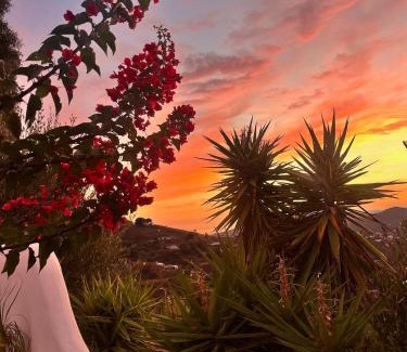 Cómpeta Casa | Casa Bizon - Your holiday oasis with private pool