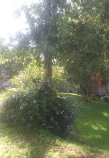 Santa Cruz Tlaxcala Casa | Casa blanca