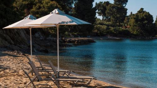 Elia Nikitis Hotel | Casa Bloo Adults Only