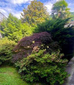 Consiglio di Rumo Apartamento | Casa Blue lake