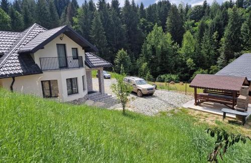 Borsa Villa | Casa Bogdan