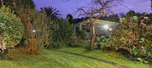 Barreiros Casa | Casa BRAIS