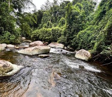 Paraty Casa | Casa Brisa da Cachoeira Paraty- asfalto -Casa com cachoeira 5 hóspedes