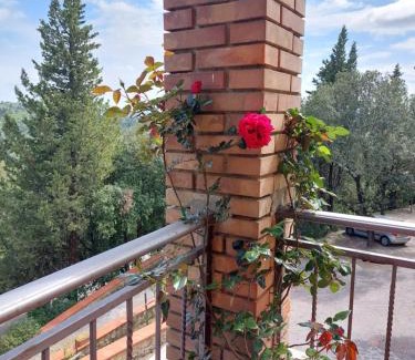 Castellina in Chianti Apartamento | Casa Bruna - Cipresseta del Chianti