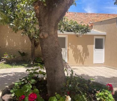 Tarija Casa | Casa céntrica Las Higueras