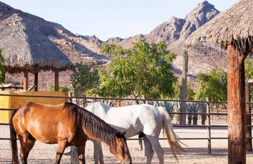 Pichilingue Casa | Casa Caballos at Rancho San Lorenzo. All inclusive!