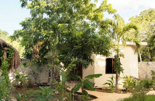 Buenavista Casa | Casa Cactus Buenavista