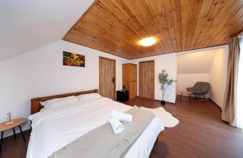 Moieciu Cabina | Casa Calatorului Rasnov
